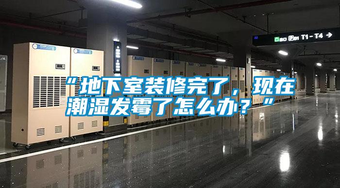 “地下室裝修完了，現(xiàn)在潮濕發(fā)霉了怎么辦？”