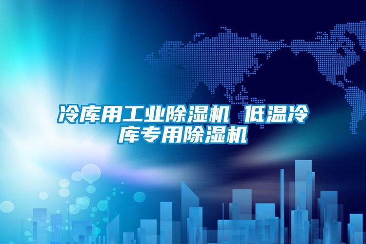 冷庫(kù)用工業(yè)除濕機(jī) 低溫冷庫(kù)專用除濕機(jī)