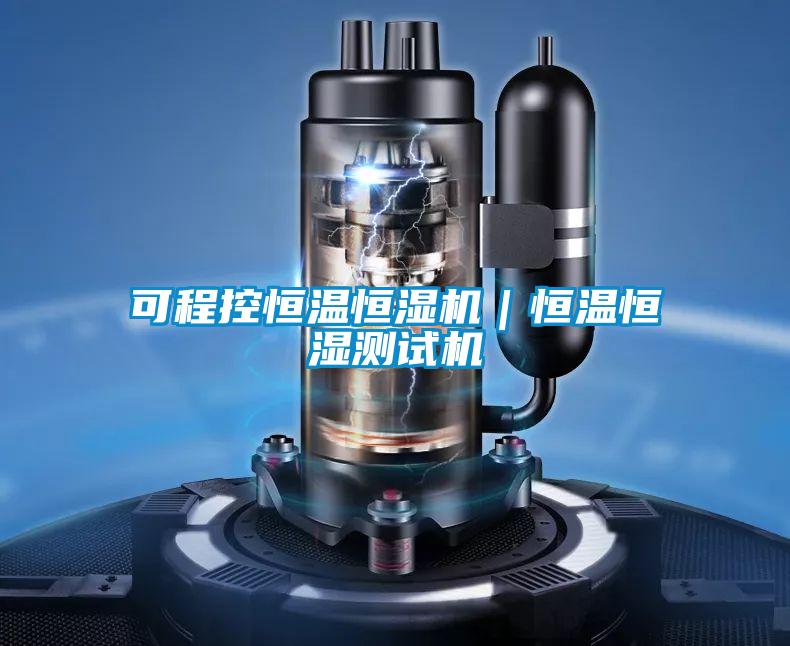 可程控恒溫恒濕機(jī)|恒溫恒濕測試機(jī)