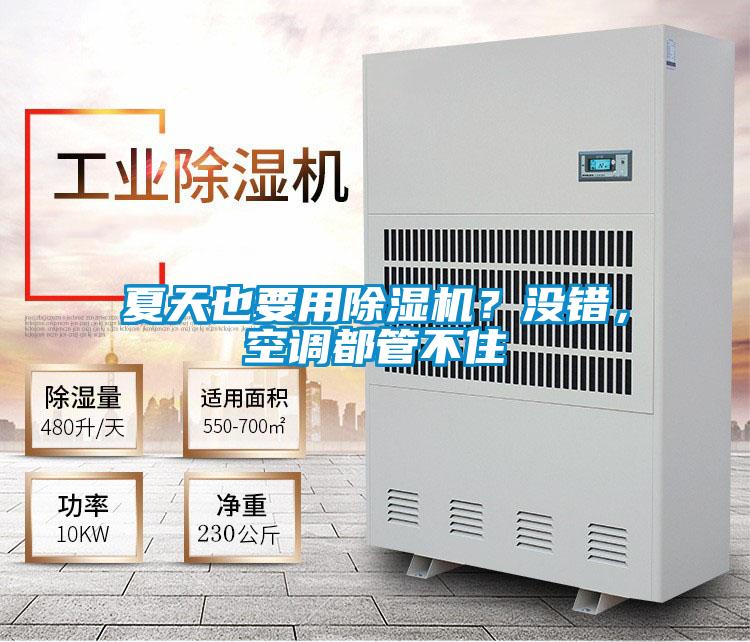 夏天也要用除濕機？沒錯，空調(diào)都管不住