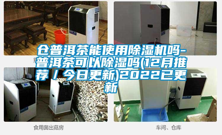 倉(cāng)普洱茶能使用除濕機(jī)嗎-普洱茶可以除濕嗎(12月推薦／今日更新)2022已更新