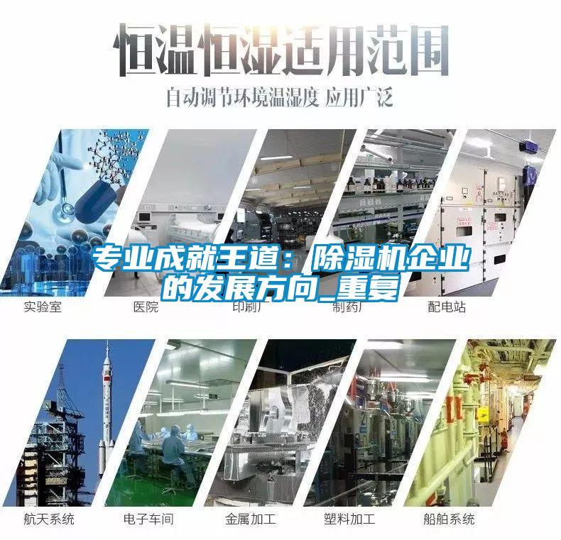 專(zhuān)業(yè)成就王道：除濕機(jī)企業(yè)的發(fā)展方向_重復(fù)
