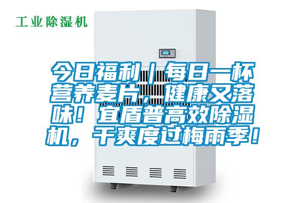 今日福利｜每日一杯營(yíng)養(yǎng)麥片，健康又落味！宜盾普高效除濕機(jī)，干爽度過(guò)梅雨季！