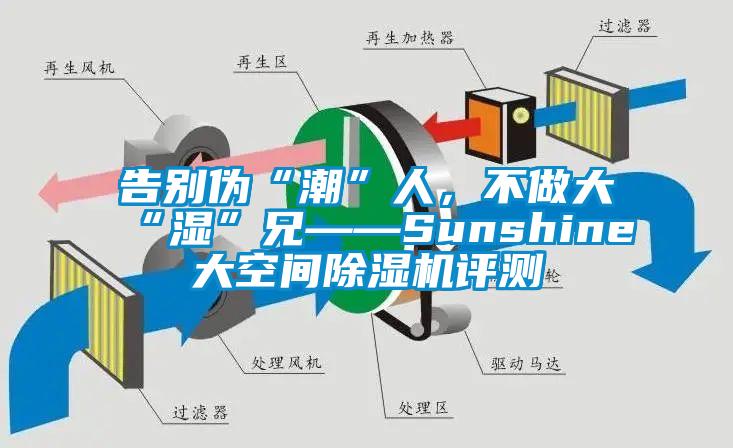 告別偽“潮”人，不做大“濕”兄——Sunshine大空間除濕機(jī)評(píng)測(cè)