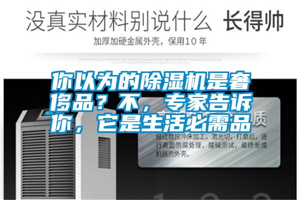 你以為的除濕機(jī)是奢侈品？不，專(zhuān)家告訴你，它是生活必需品