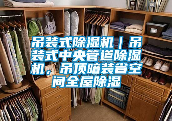 吊裝式除濕機(jī)｜吊裝式中央管道除濕機(jī)，吊頂暗裝省空間全屋除濕