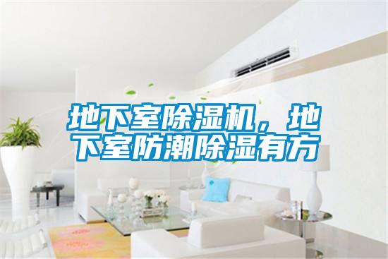 地下室除濕機(jī)，地下室防潮除濕有方