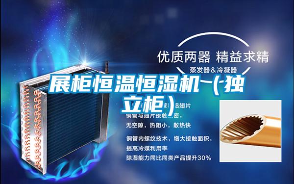 展柜恒溫恒濕機(jī)(獨(dú)立柜)