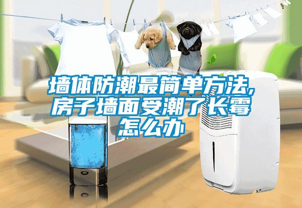 墻體防潮最簡(jiǎn)單方法,房子墻面受潮了長霉怎么辦