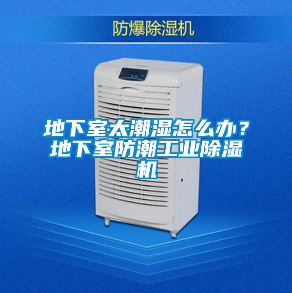 地下室太潮濕怎么辦？地下室防潮工業(yè)除濕機