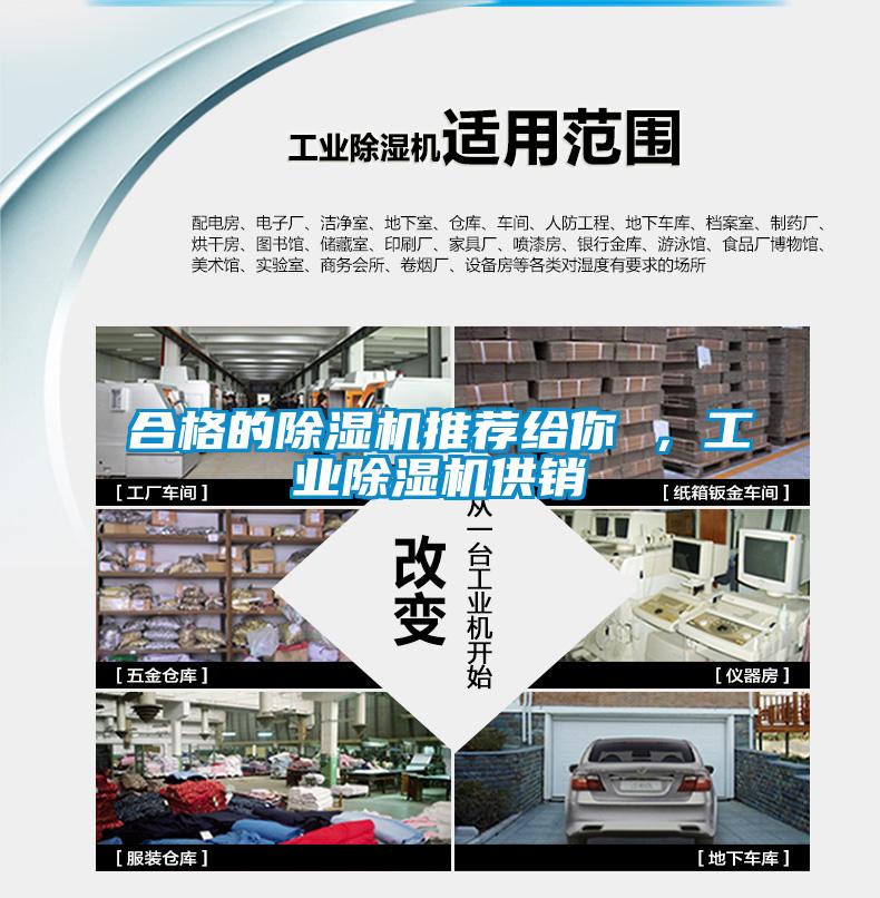 合格的除濕機推薦給你 ，工業除濕機供銷