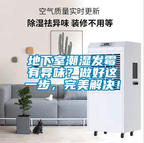 地下室潮濕發霉有異味?做好這一步,完美解決!