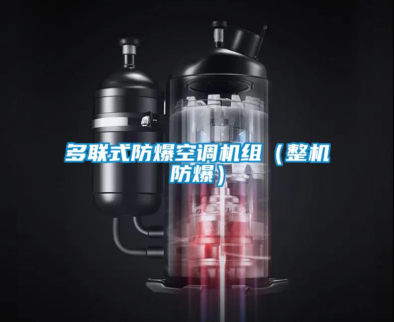 多聯(lián)式防爆空調(diào)機組（整機防爆）