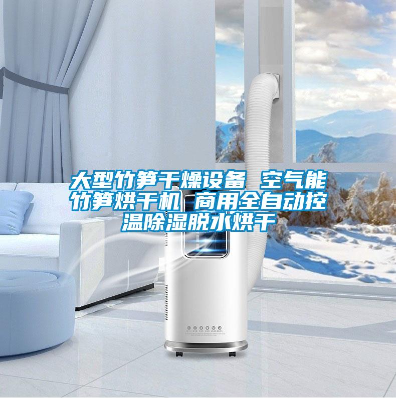 大型竹筍干燥設(shè)備 空氣能竹筍烘干機(jī) 商用全自動(dòng)控溫除濕脫水烘干