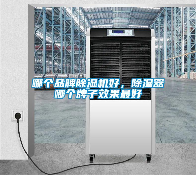 哪個品牌除濕機好，除濕器哪個牌子效果最好