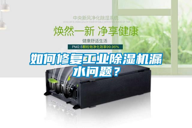 如何修復(fù)工業(yè)除濕機(jī)漏水問題？