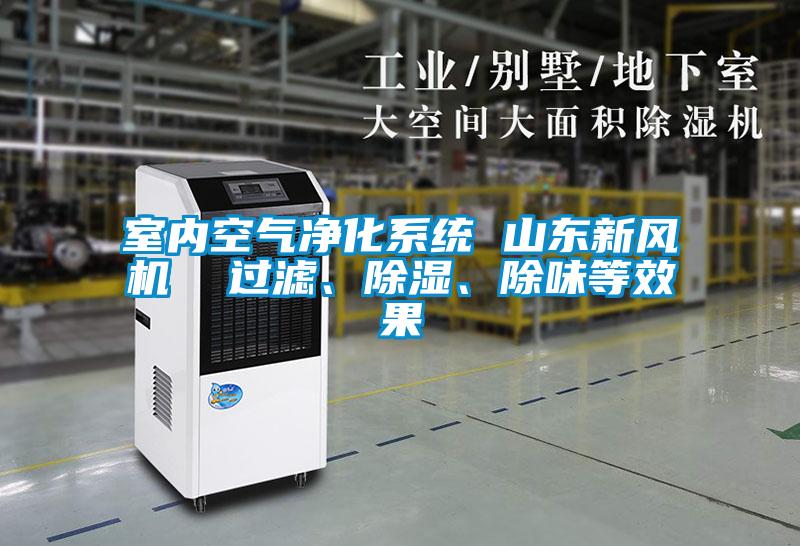 室內(nèi)空氣凈化系統(tǒng) 山東新風(fēng)機(jī)  過濾、除濕、除味等效果