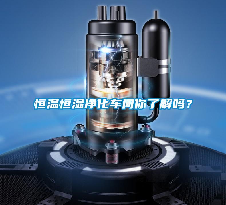 恒溫恒濕凈化車間你了解嗎？