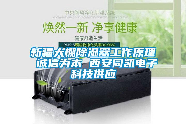 新疆大棚除濕器工作原理 誠(chéng)信為本 西安同凱電子科技供應(yīng)
