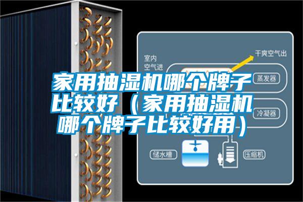 家用抽濕機哪個牌子比較好(家用抽濕機哪個牌子比較好用)