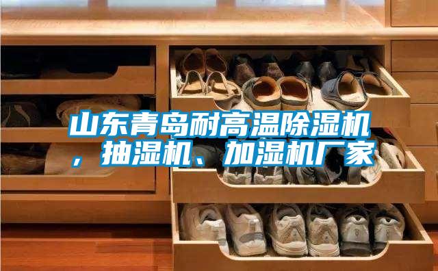 山東青島耐高溫除濕機(jī)，抽濕機(jī)、加濕機(jī)廠家