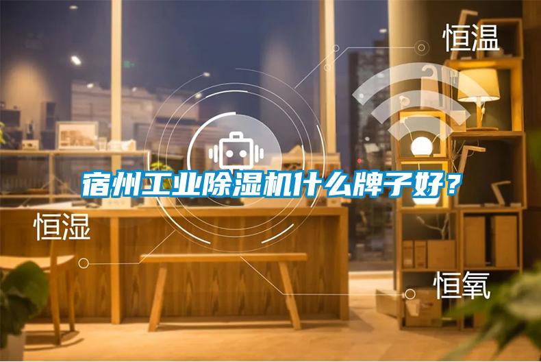 宿州工業(yè)除濕機什么牌子好？