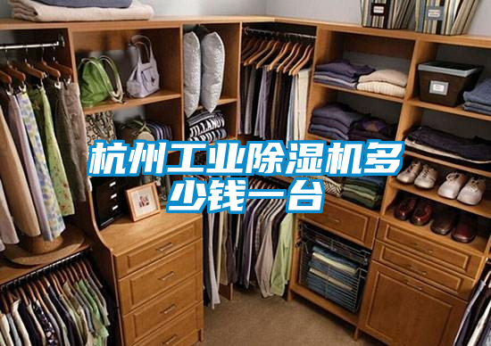 杭州工業(yè)除濕機(jī)多少錢一臺