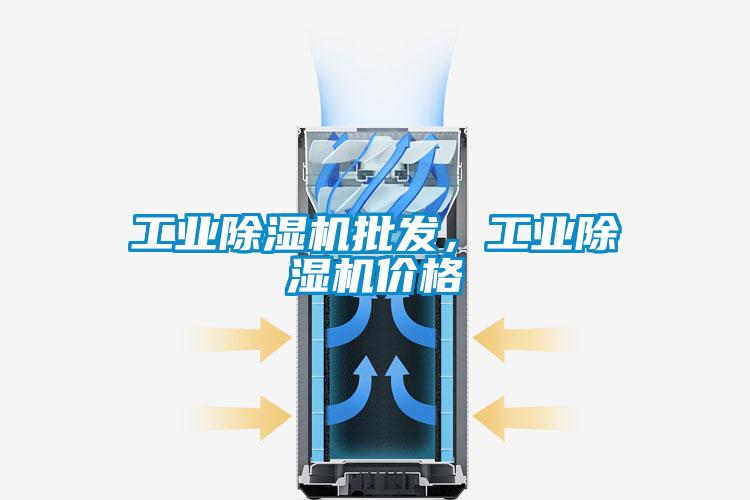 工業(yè)除濕機批發(fā)，工業(yè)除濕機價格