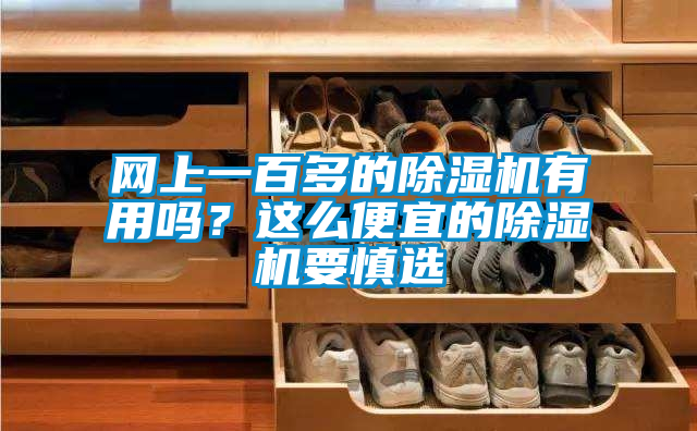 網(wǎng)上一百多的除濕機有用嗎?這么便宜的除濕機要慎選