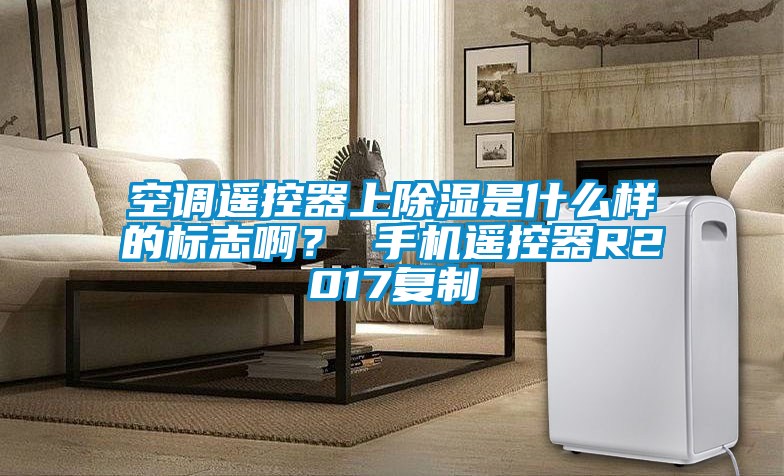 空調(diào)遙控器上除濕是什么樣的標(biāo)志啊? 手機(jī)遙控器R2017復(fù)制