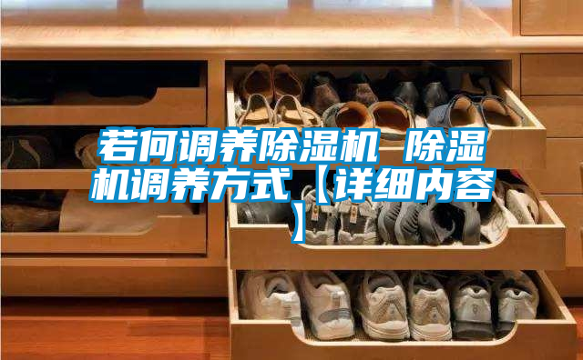 若何調養(yǎng)除濕機 除濕機調養(yǎng)方式【詳細內容】