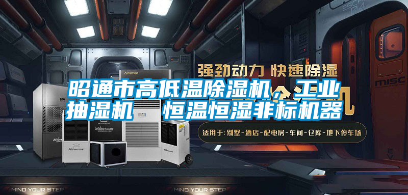 昭通市高低溫除濕機，工業(yè)抽濕機  恒溫恒濕非標機器