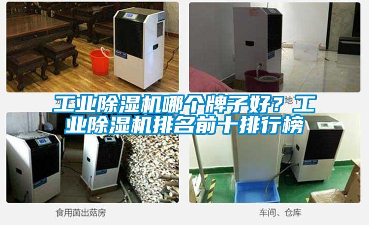工業(yè)除濕機(jī)哪個(gè)牌子好?工業(yè)除濕機(jī)排名前十排行榜