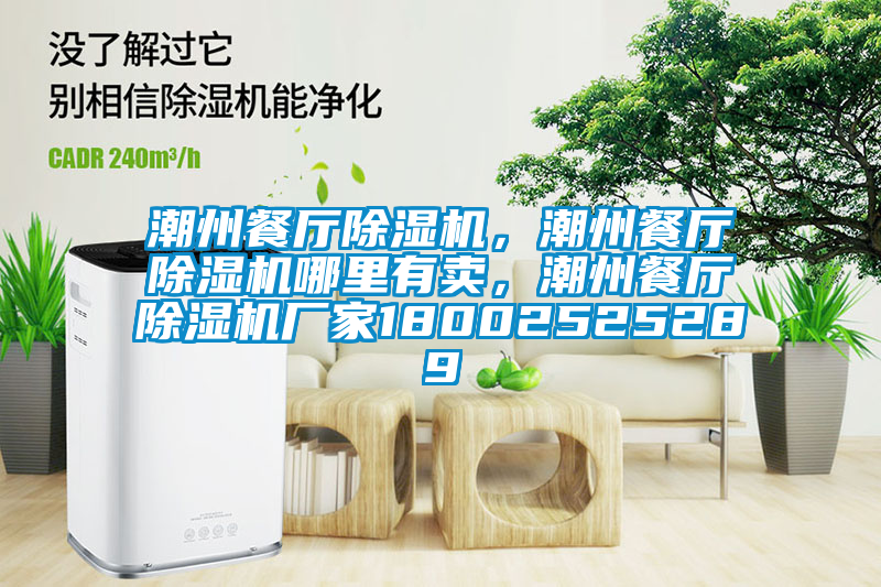 潮州餐廳除濕機(jī)，潮州餐廳除濕機(jī)哪里有賣，潮州餐廳除濕機(jī)廠家18002525289