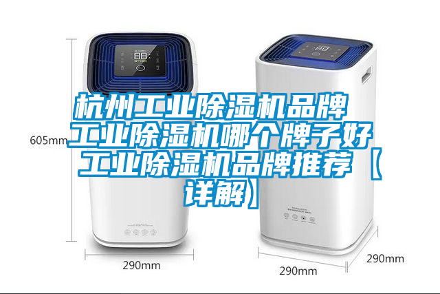 杭州工業(yè)除濕機(jī)品牌 工業(yè)除濕機(jī)哪個牌子好 工業(yè)除濕機(jī)品牌推薦【詳解】