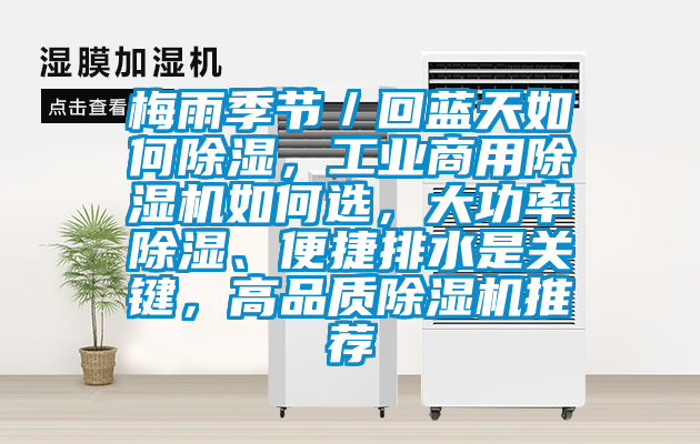 梅雨季節／回藍天如何除濕，工業商用除濕機如何選，大功率除濕、便捷排水是關鍵，高品質除濕機推薦