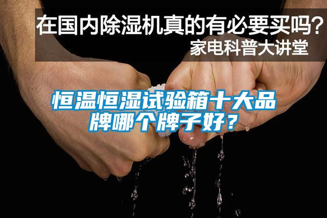 恒溫恒濕試驗(yàn)箱十大品牌哪個(gè)牌子好？