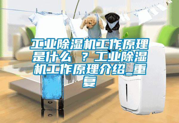 工業除濕機工作原理是什么 ?工業除濕機工作原理介紹_重復