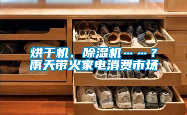 烘干機(jī)、除濕機(jī)……?雨天帶火家電消費(fèi)市場