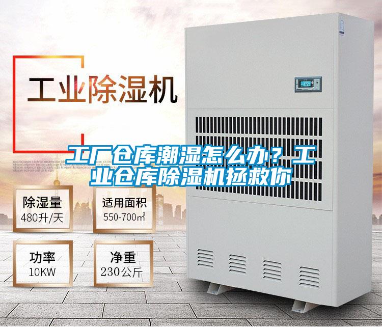 工廠倉庫潮濕怎么辦？工業倉庫除濕機拯救你