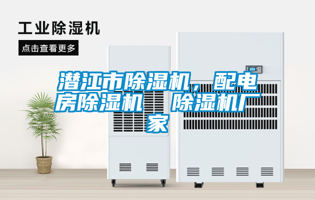 潛江市除濕機(jī)，配電房除濕機(jī)  除濕機(jī)廠家