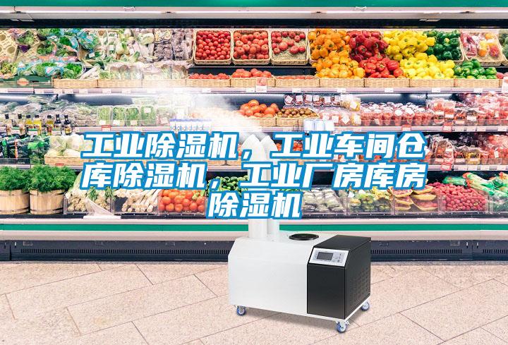 工業(yè)除濕機(jī)，工業(yè)車間倉(cāng)庫(kù)除濕機(jī)，工業(yè)廠房庫(kù)房除濕機(jī)