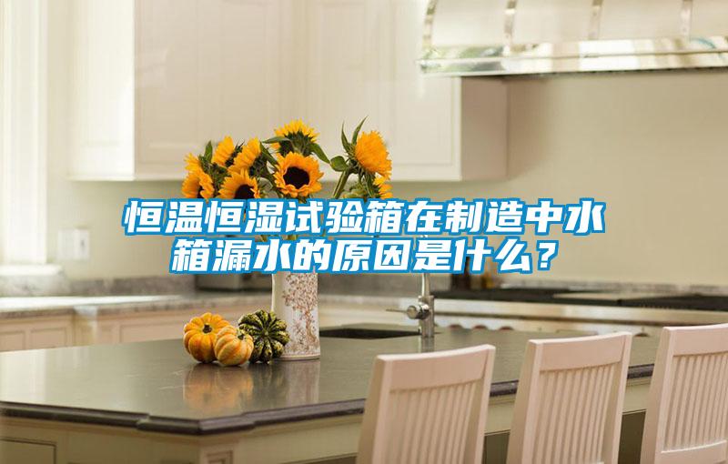 恒溫恒濕試驗(yàn)箱在制造中水箱漏水的原因是什么？