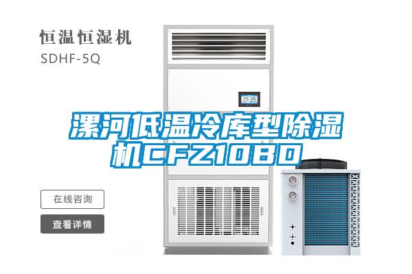 漯河低溫冷庫型除濕機(jī)CFZ10BD