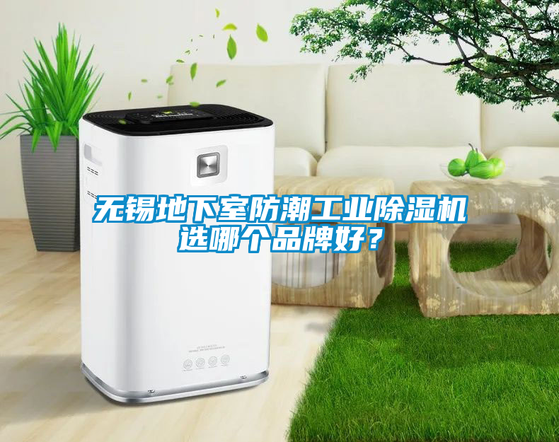 無錫地下室防潮工業(yè)除濕機(jī)選哪個(gè)品牌好?