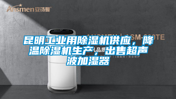 昆明工業(yè)用除濕機(jī)供應(yīng)，降溫除濕機(jī)生產(chǎn)，出售超聲波加濕器