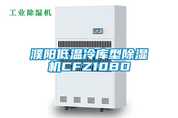 濮陽低溫冷庫型除濕機(jī)CFZ10BD