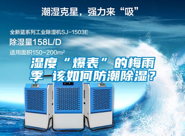 濕度“爆表”的梅雨季 該如何防潮除濕？