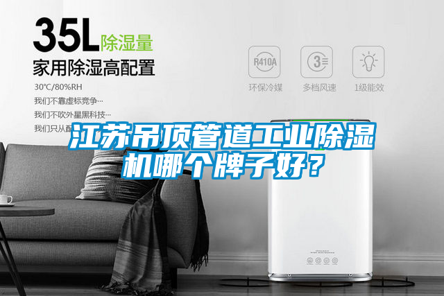 江蘇吊頂管道工業除濕機哪個牌子好？