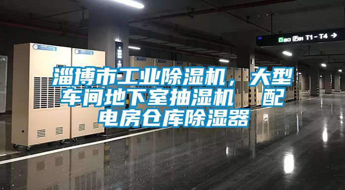 淄博市工業除濕機,大型車間地下室抽濕機 配電房倉庫除濕器